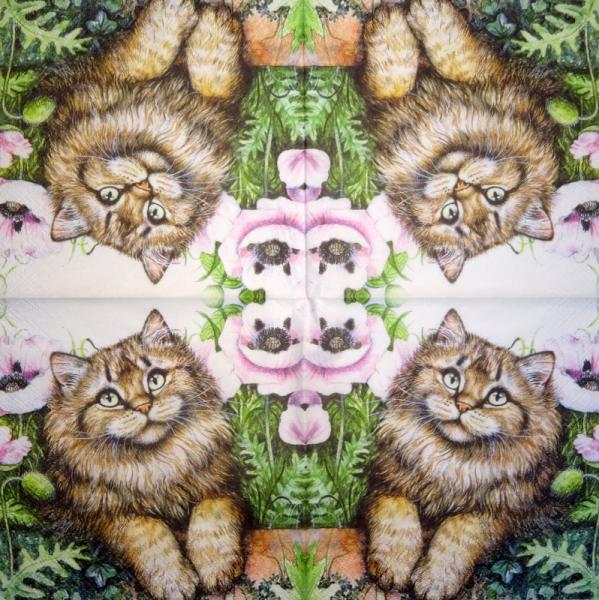 299 Katzen - 3-lagig
